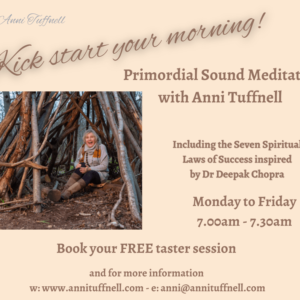 Primordial Sound Meditation Tester Session